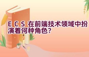 ECS在前端技术领域中扮演着何种角色？