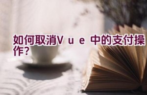 如何取消Vue中的支付操作？