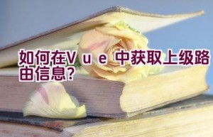 如何在Vue中获取上级路由信息？