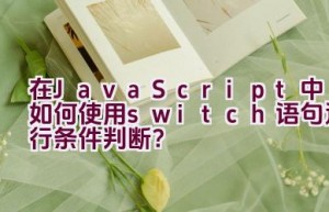 在JavaScript中如何使用switch语句进行条件判断？