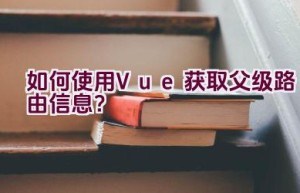 如何使用Vue获取父级路由信息？