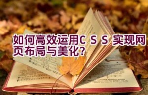 “如何高效运用CSS实现网页布局与美化？”