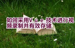 如何采用Vue技术进行视频录制并有效存储