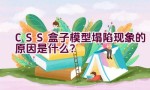 CSS盒子模型塌陷现象的原因是什么？