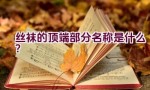 丝袜的顶端部分名称是什么？