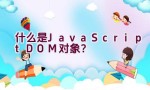 什么是JavaScript DOM对象？