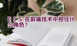 ECS在前端技术中担任什么角色？