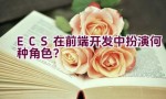 “ECS在前端开发中扮演何种角色？”