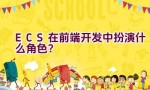 ECS在前端开发中扮演什么角色？