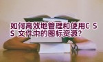 如何高效地管理和使用CSS文件中的图标资源？