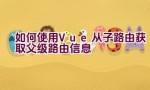 如何使用Vue从子路由获取父级路由信息