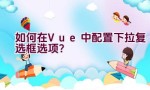 如何在Vue中配置下拉复选框选项？