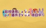 如何使用JavaScript插件于Vue项目中？