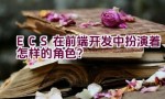 ECS在前端开发中扮演着怎样的角色？