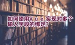 如何使用Vue实现对多个输入字段的绑定？