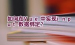 如何在Vue中实现input数据绑定？