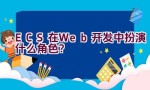 ECS在Web开发中扮演什么角色？