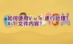 如何使用Vue逐行处理TXT文件内容？