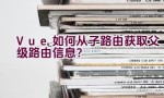 Vue如何从子路由获取父级路由信息？