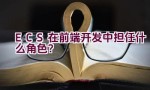 ECS在前端开发中担任什么角色？