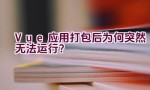 Vue 应用打包后为何突然无法运行？