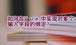 如何在Vue中实现对多个输入字段的绑定？