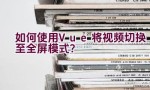 如何使用Vue将视频切换至全屏模式？