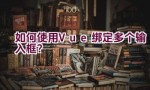 如何使用Vue绑定多个输入框？