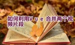 如何利用Vue合并两个视频片段