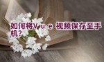 如何将Vue视频保存至手机？