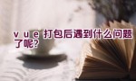 vue打包后遇到什么问题了呢？