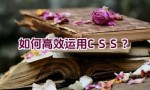 如何高效运用CSS？