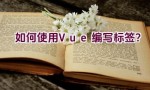 如何使用Vue编写标签？