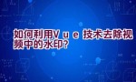 如何利用Vue技术去除视频中的水印？