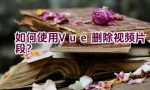 如何使用Vue删除视频片段？