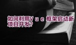 如何利用Vue框架启动新项目开发？