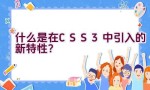 什么是在CSS3中引入的新特性？