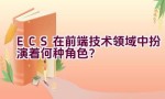 ECS在前端技术领域中扮演着何种角色？