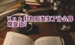 Vue 打包后发生了什么异常变动？