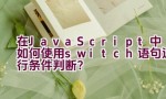 在JavaScript中如何使用switch语句进行条件判断？