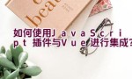 如何使用JavaScript插件与Vue进行集成？