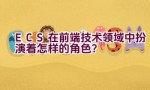 ECS在前端技术领域中扮演着怎样的角色？