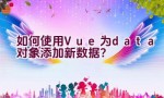 如何使用Vue为data对象添加新数据？