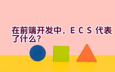 在前端开发中，ECS代表了什么？插图