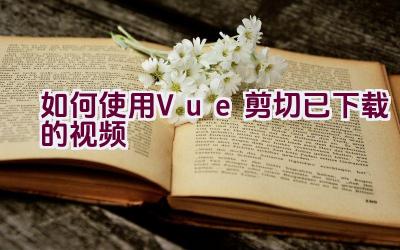 如何使用Vue剪切已下载的视频插图