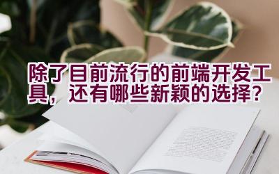 除了目前流行的前端开发工具，还有哪些新颖的选择？插图