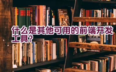 什么是其他可用的前端开发工具？插图