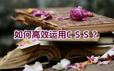 如何高效运用CSS？插图