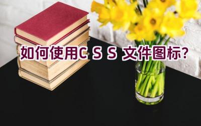 如何使用CSS文件图标？插图